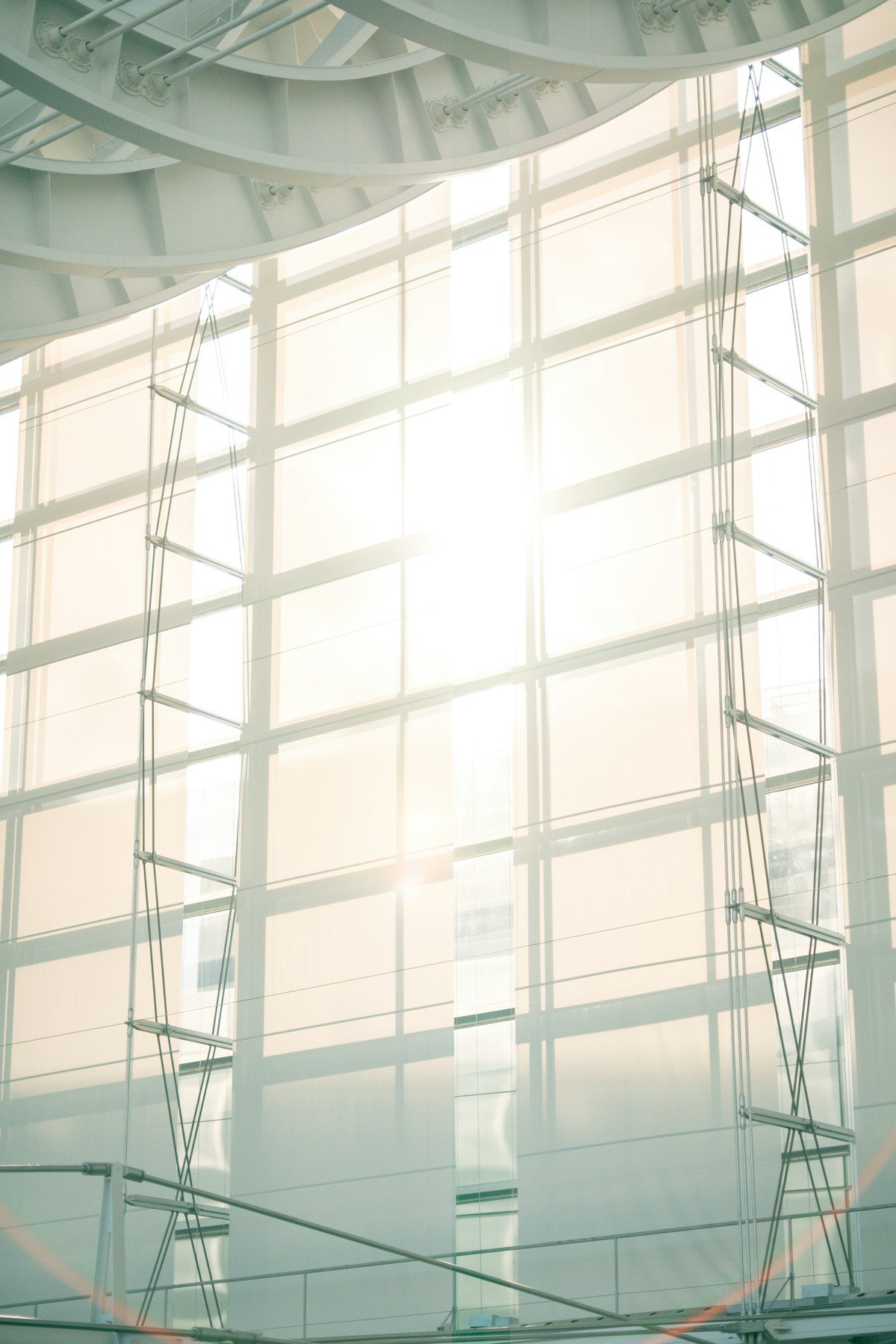 Glare Reduction Window Film for BC Offices: How It Works, What to Expect, and What It Costs