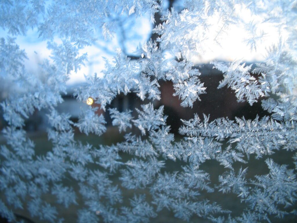 Frosted glass window providing privacy while diffusing natural light — Ecovision Window Films Vancouver BC