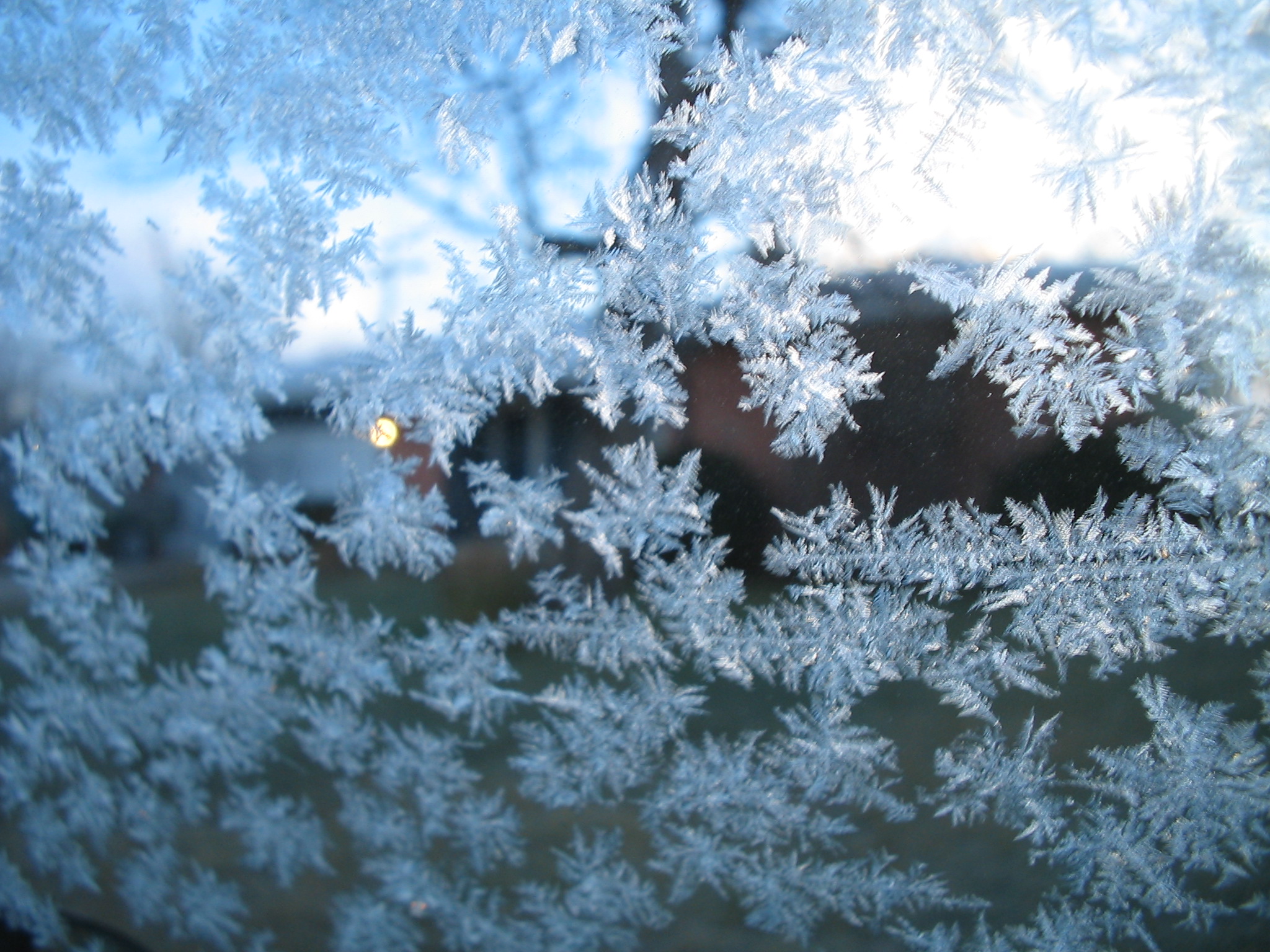 Frosted architectural glass showing 24-hour privacy texture